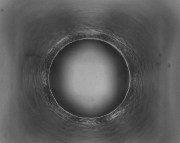 X0000086301205200704091012