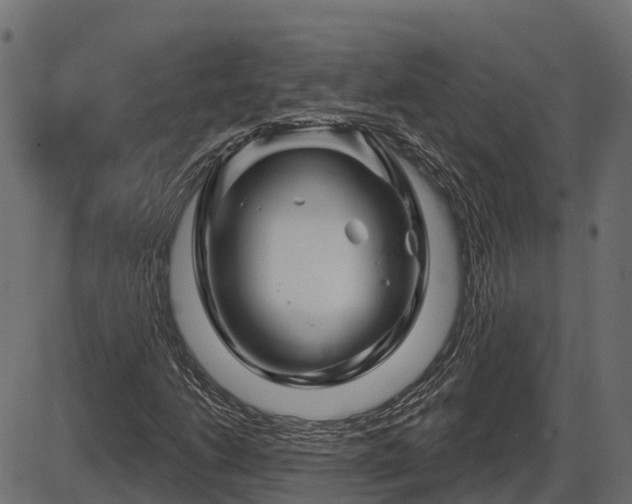 X0000086301206200704091012