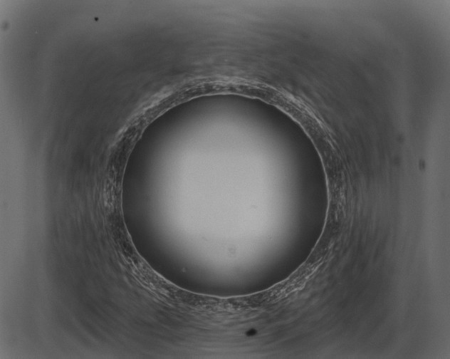 X0000086301207200704091012