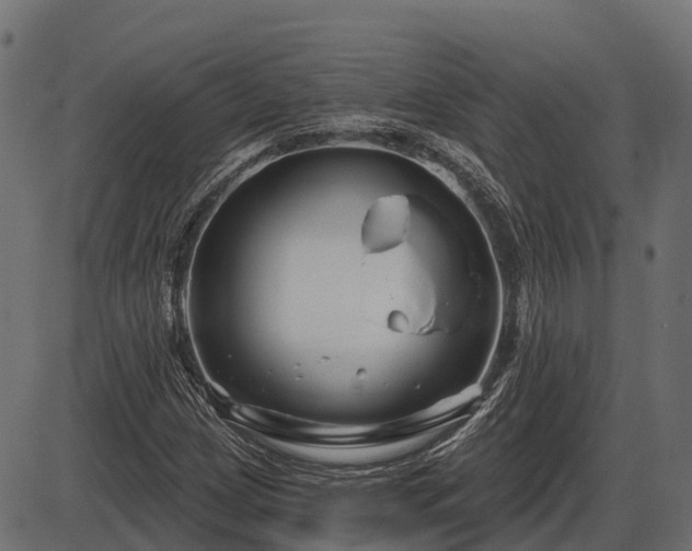 X0000086301209200704091012