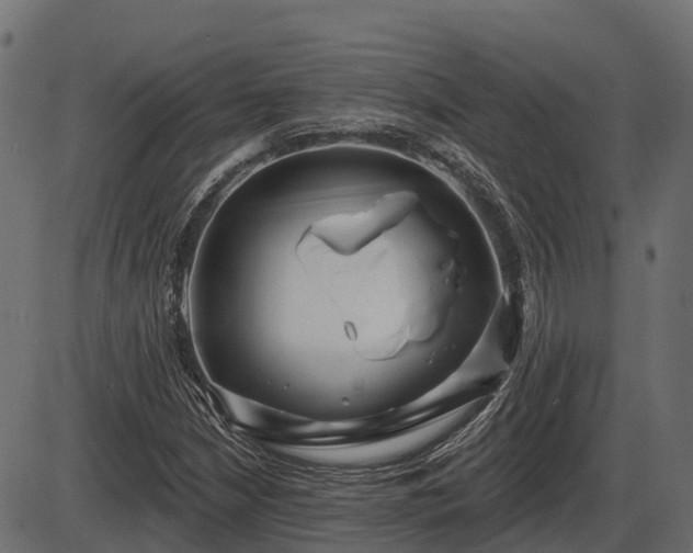 X0000086301210200704091012