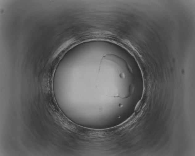 X0000086301211200704091012