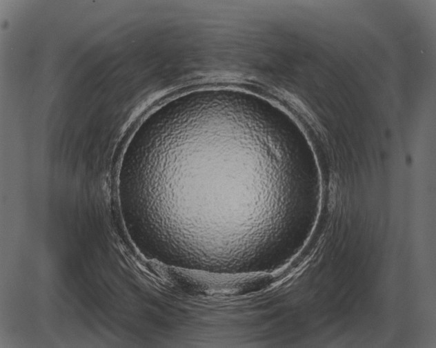 X0000086301212200704091012