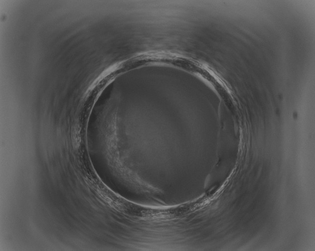 X0000086301213200704091012