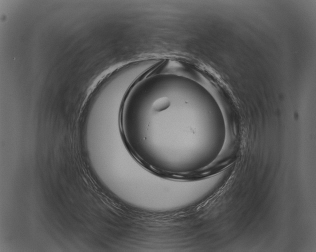 X0000086301214200704091012