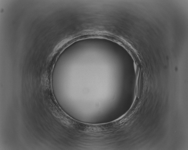 X0000086301215200704091012