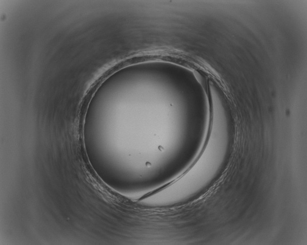 X0000086301216200704091012