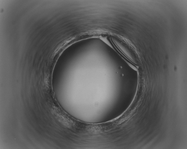 X0000086301217200704091012