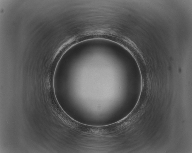 X0000086301218200704091013