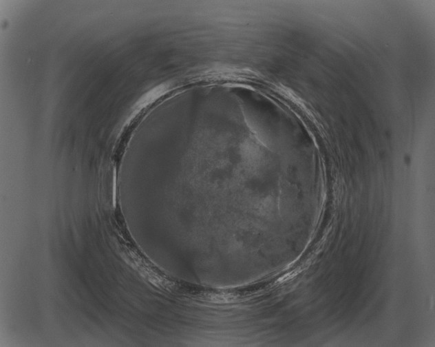 X0000086301219200704091013