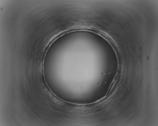 X0000086301220200704091013