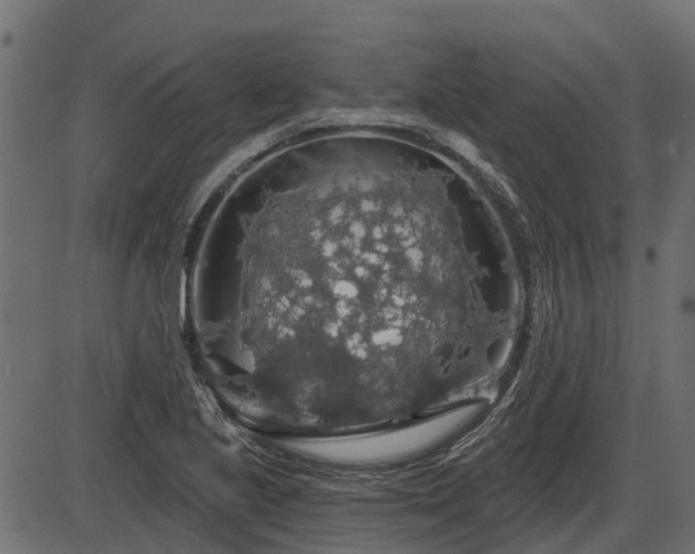 X0000086301221200704091013