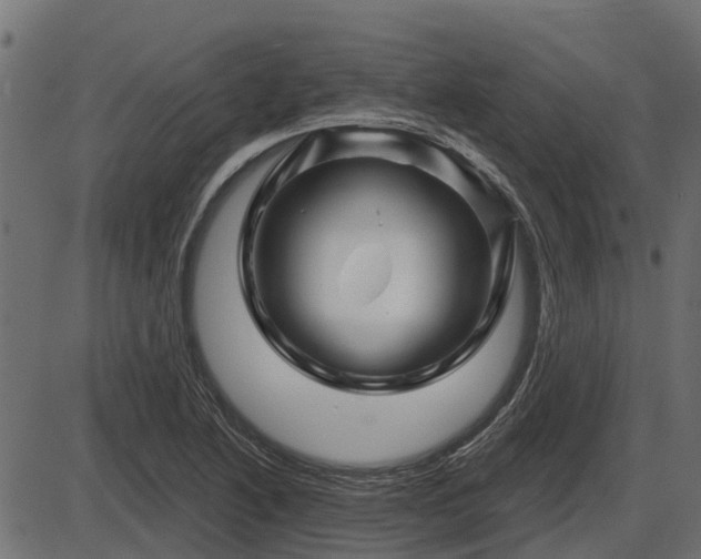 X0000086301222200704091013