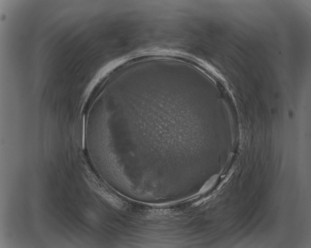 X0000086301223200704091013