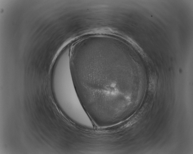 X0000086301224200704091013