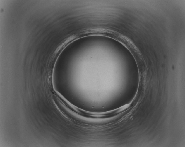 X0000086301225200704091013