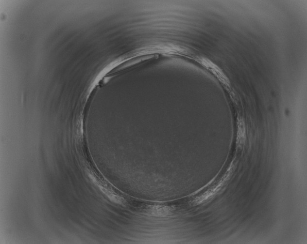 X0000086301226200704091013