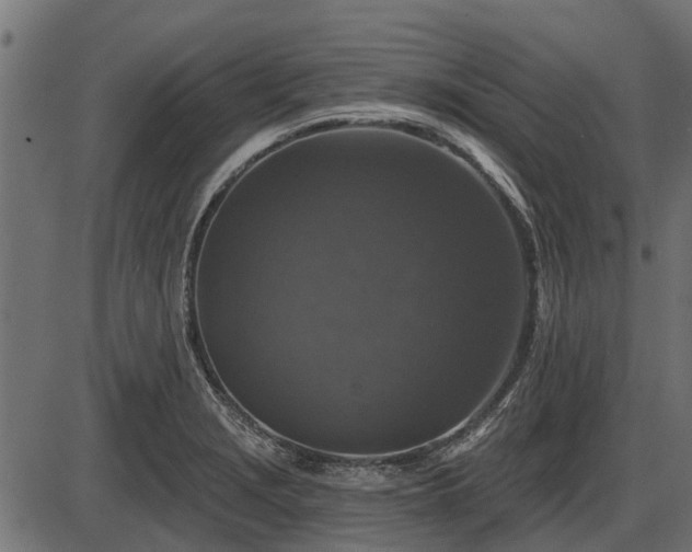 X0000086301229200704091013