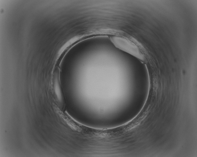 X0000086301230200704091013