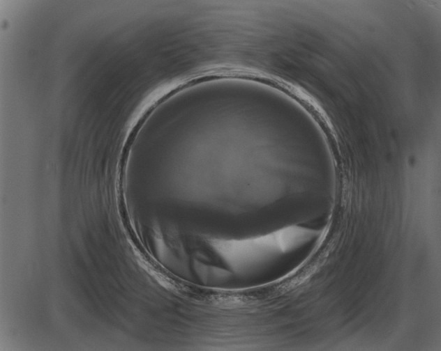 X0000086301231200704091013