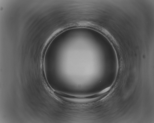 X0000086301232200704091013