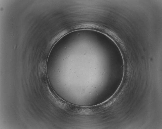 X0000086301233200704091013