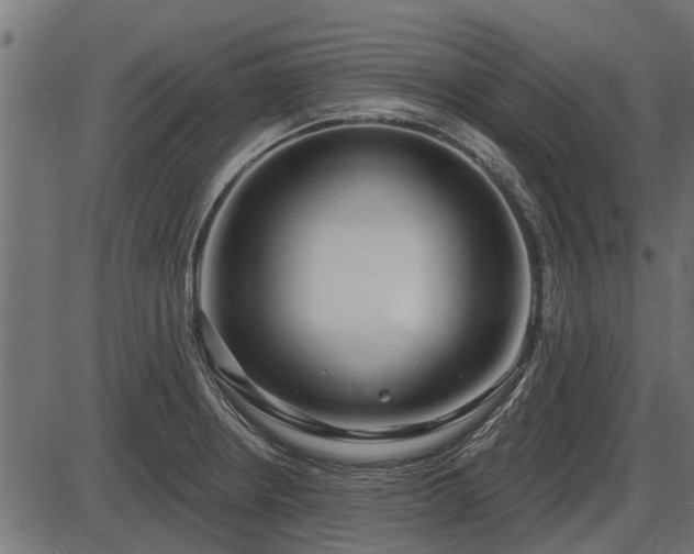 X0000086301234200704091013