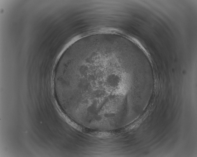 X0000086301235200704091013