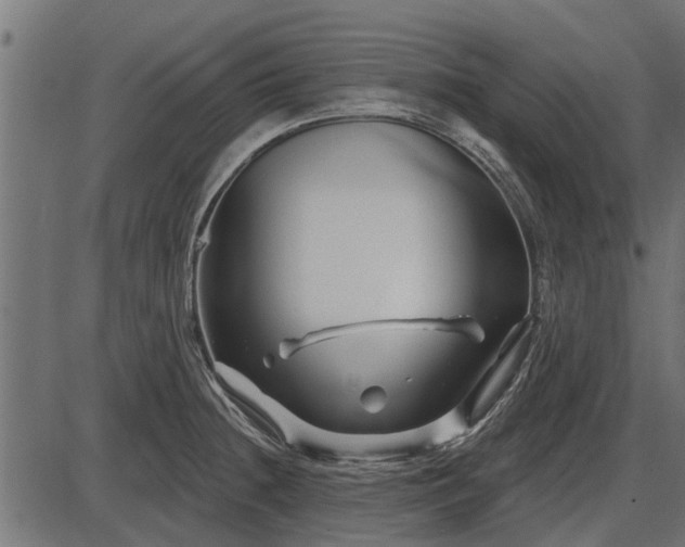 X0000086301236200704091013