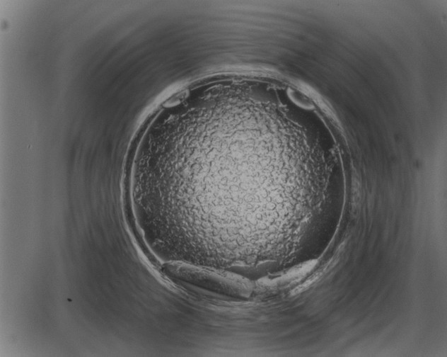 X0000086301237200704091013