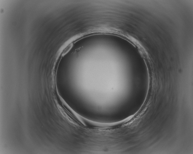 X0000086301238200704091013