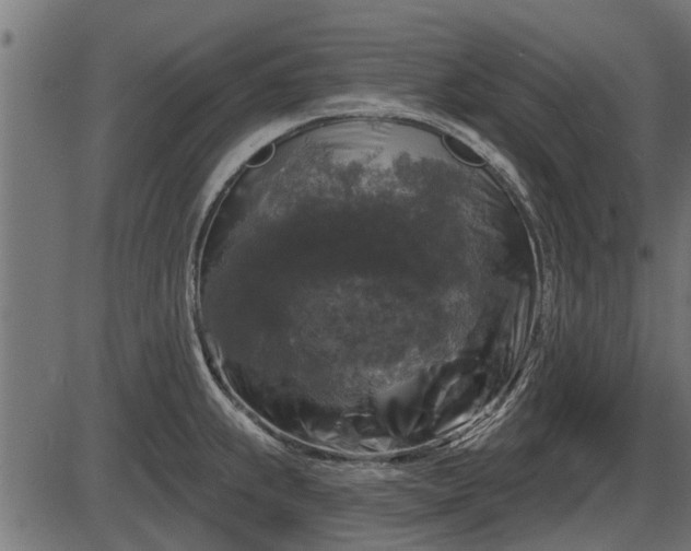 X0000086301239200704091013