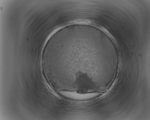 X0000086301240200704091013