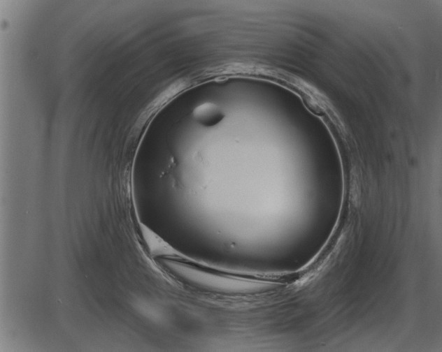 X0000086301241200704091013