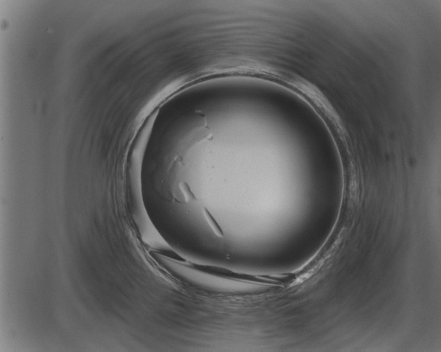 X0000086301242200704091013