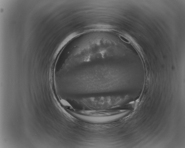 X0000086301243200704091013