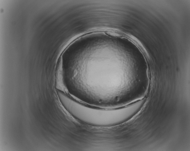 X0000086301244200704091013