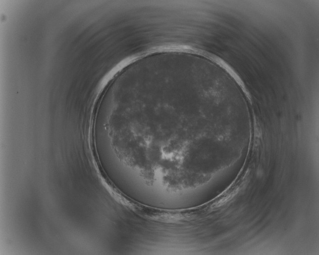 X0000086301245200704091013