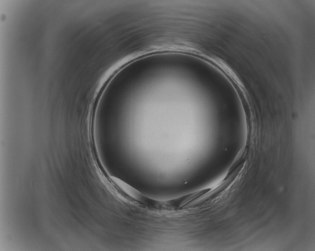 X0000086301246200704091013