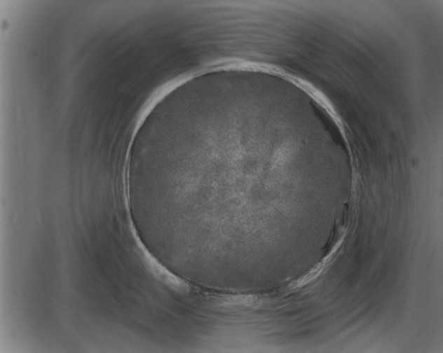 X0000086301247200704091013