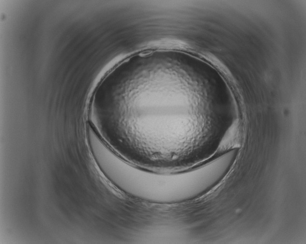 X0000086301248200704091013