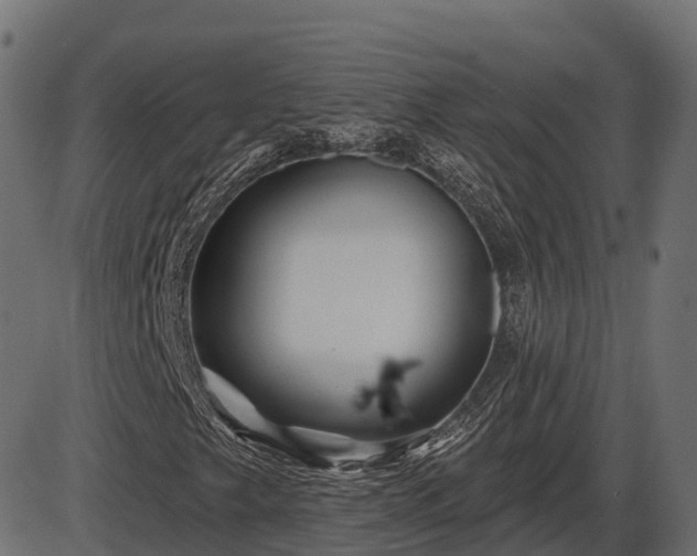 X0000086301249200704091012