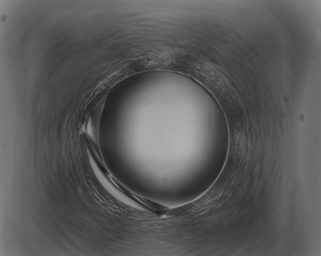 X0000086301250200704091012