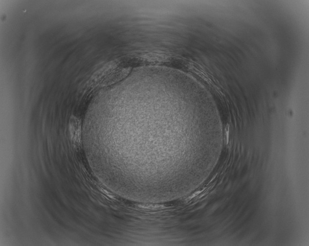 X0000086301251200704091012