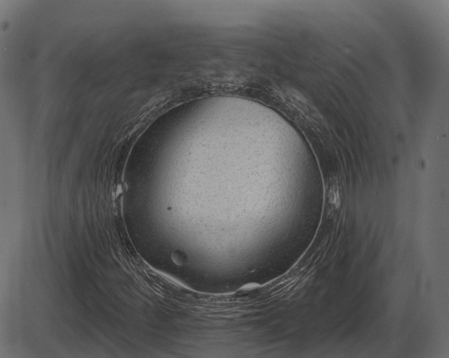 X0000086301252200704091012