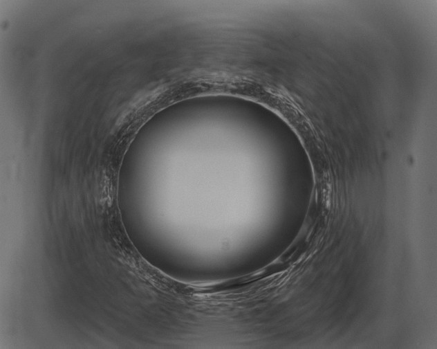 X0000086301253200704091012