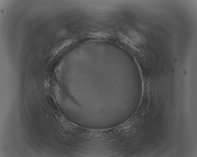 X0000086301254200704091012