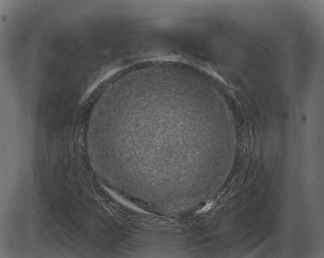 X0000086301255200704091012