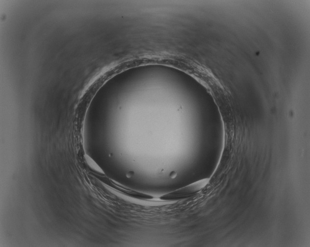 X0000086301256200704091012