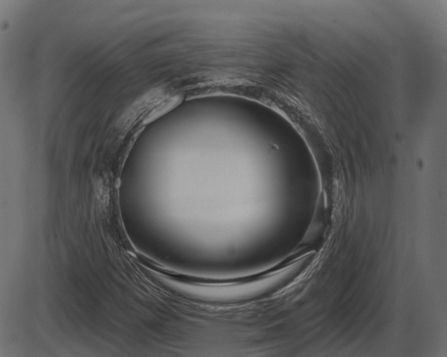 X0000086301257200704091012